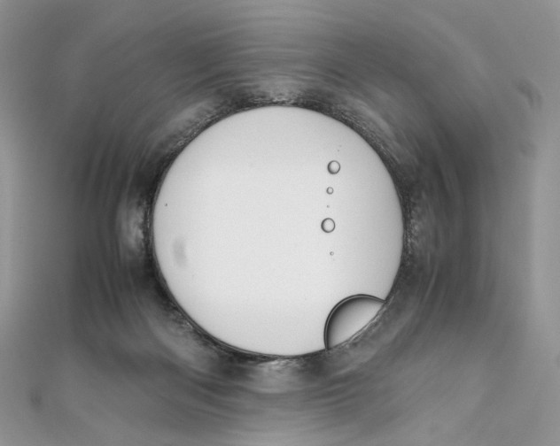 X0000111450122200908031422