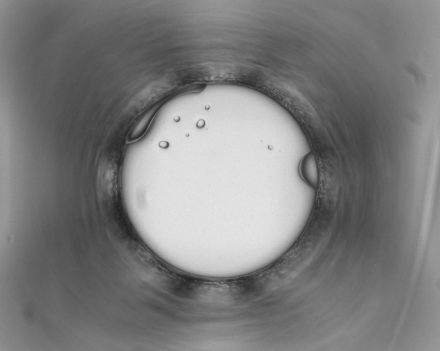 X0000111450123200908031422