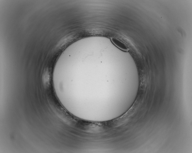 X0000111450124200908031422