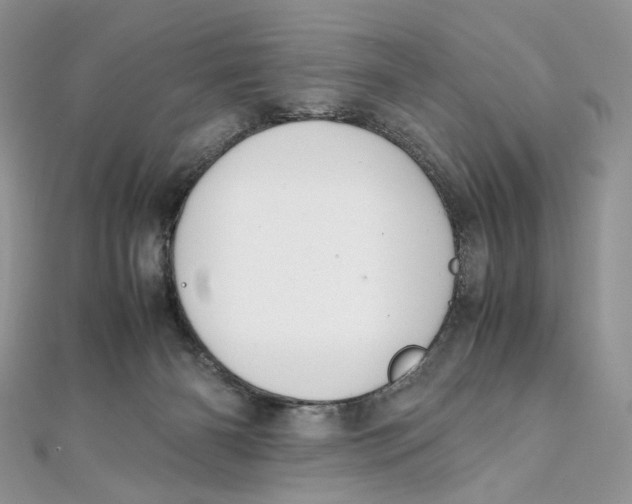 X0000111450126200908031422