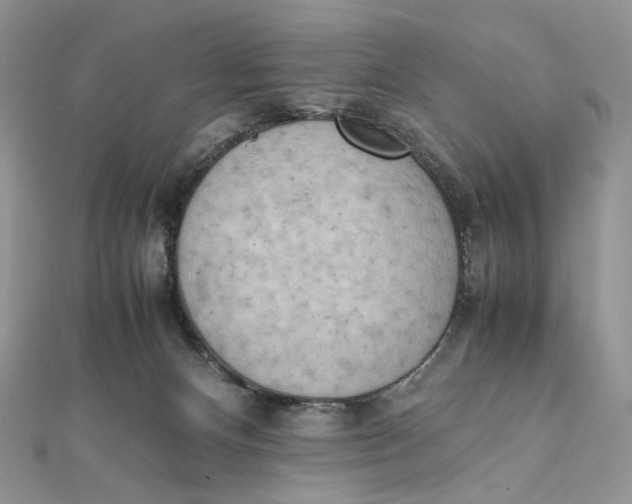 X0000111450128200908031421