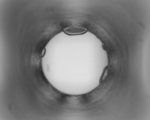 X0000111450129200908031421
