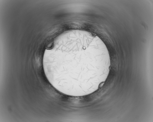 X0000111450131200908031421