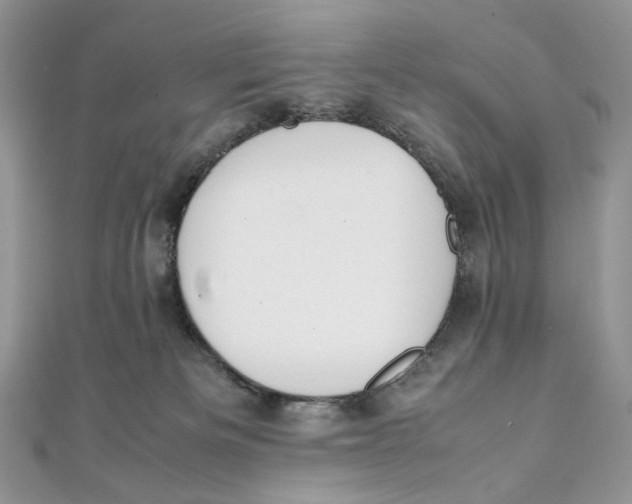 X0000111450133200908031421
