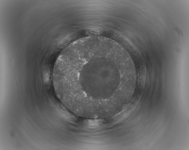 X0000111450134200908031421