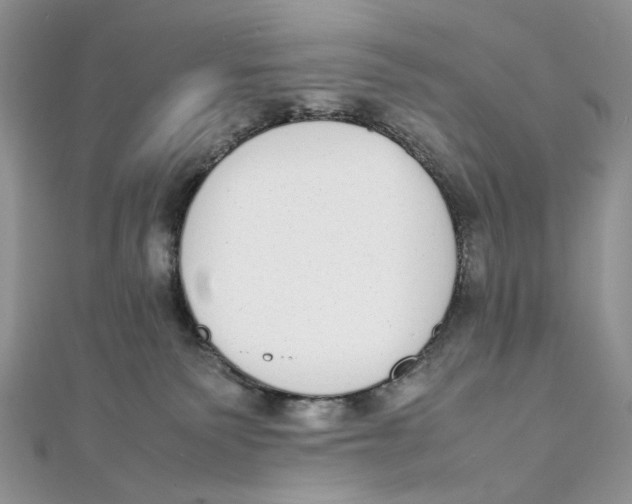 X0000111450135200908031421
