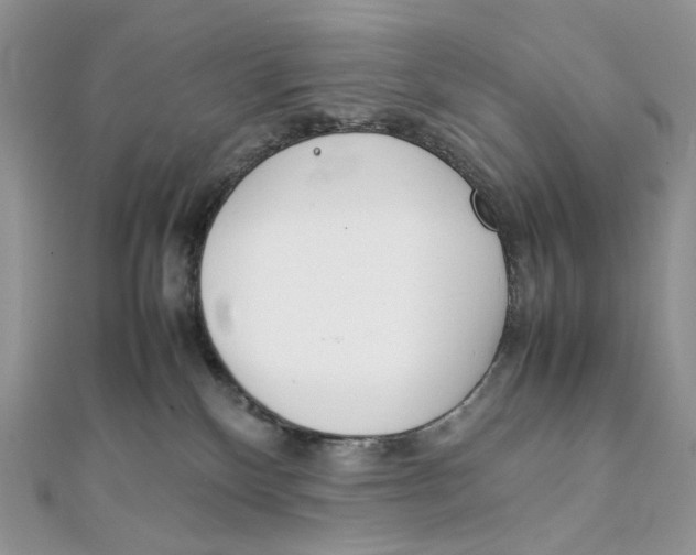 X0000111450136200908031421