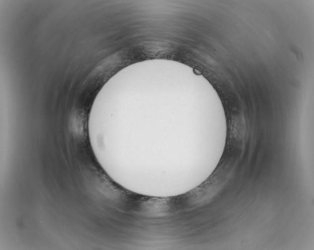 X0000111450138200908031421