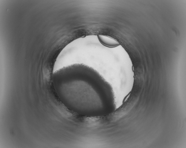 X0000111450139200908031421
