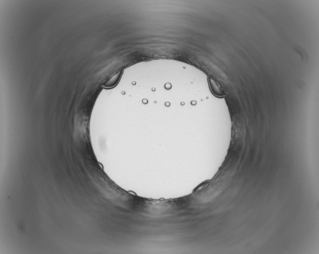 X0000111450141200908031421