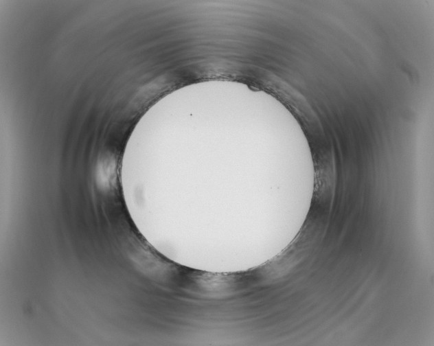 X0000111450142200908031421