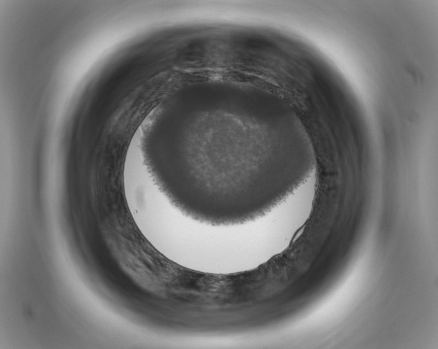 X0000111450143200908031421