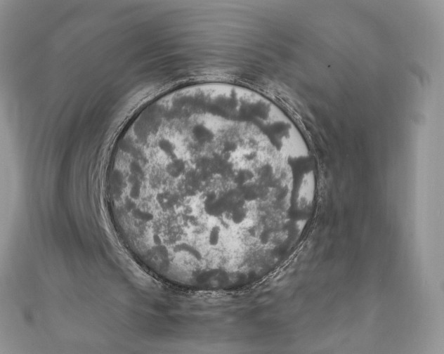 X0000111450145200908031421