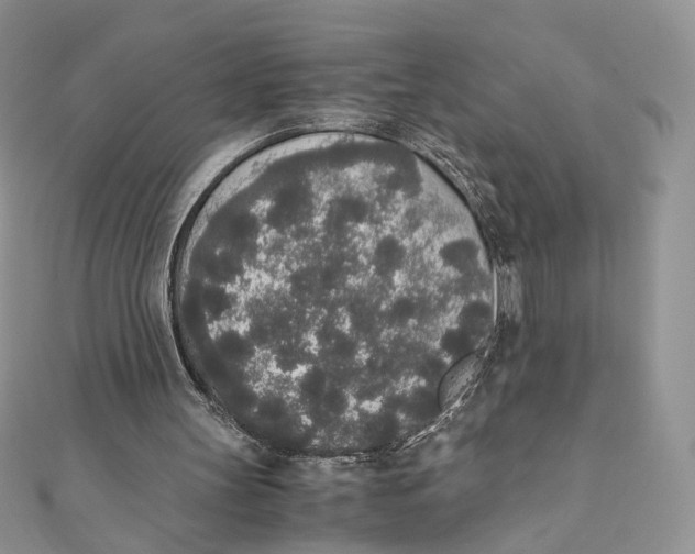 X0000111450147200908031421