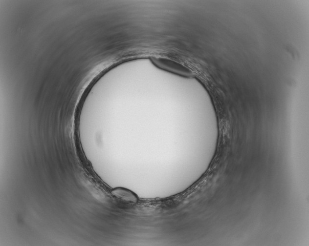 X0000111450148200908031421