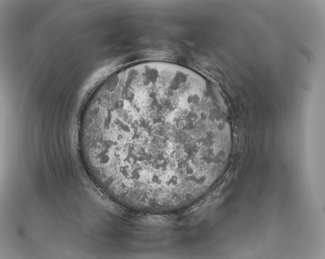 X0000111450149200908031421