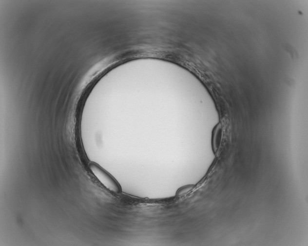 X0000111450150200908031421