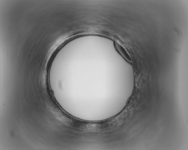 X0000111450152200908031421
