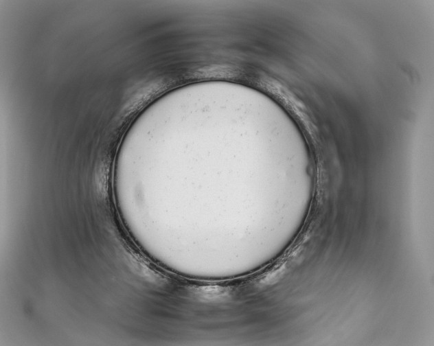 X0000111450153200908031421