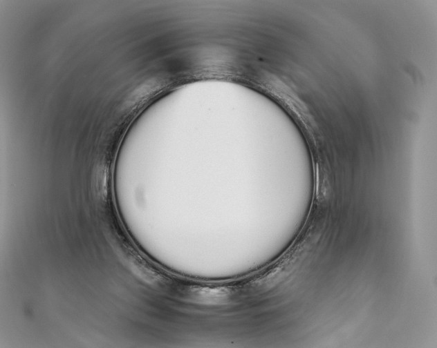 X0000111450157200908031421