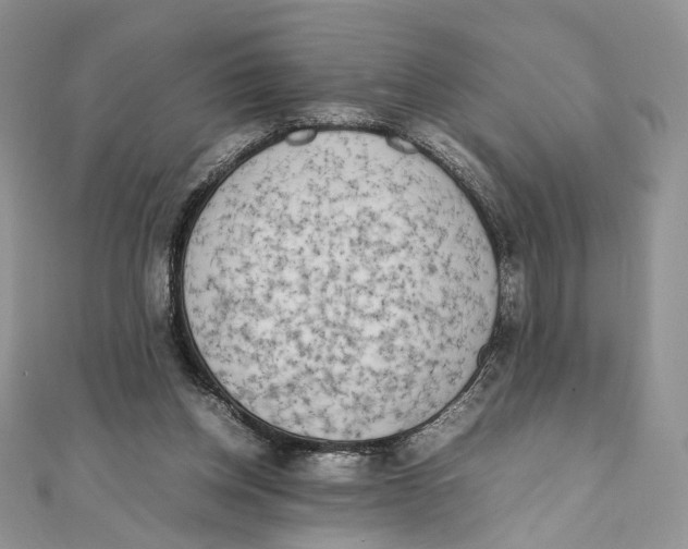 X0000111450158200908031421