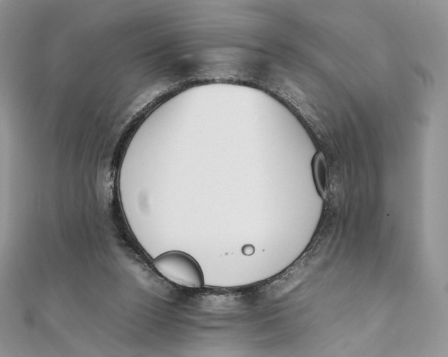 X0000111450160200908031421