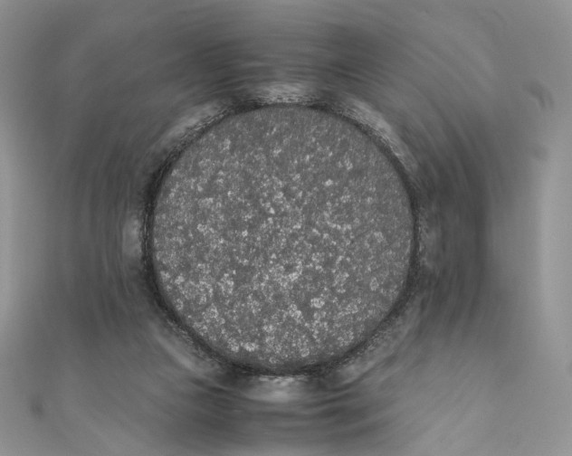 X0000111450161200908031421