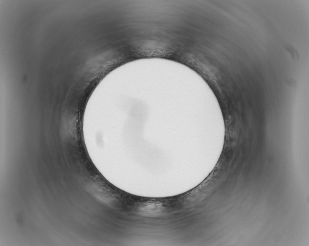 X0000111450162200908031421