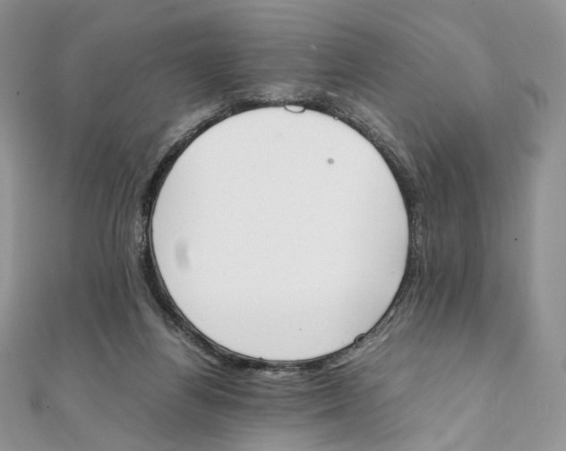 X0000111450164200908031421