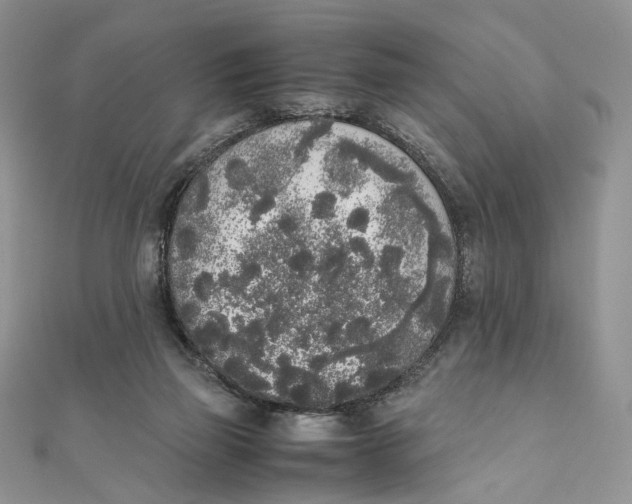 X0000111450165200908031421