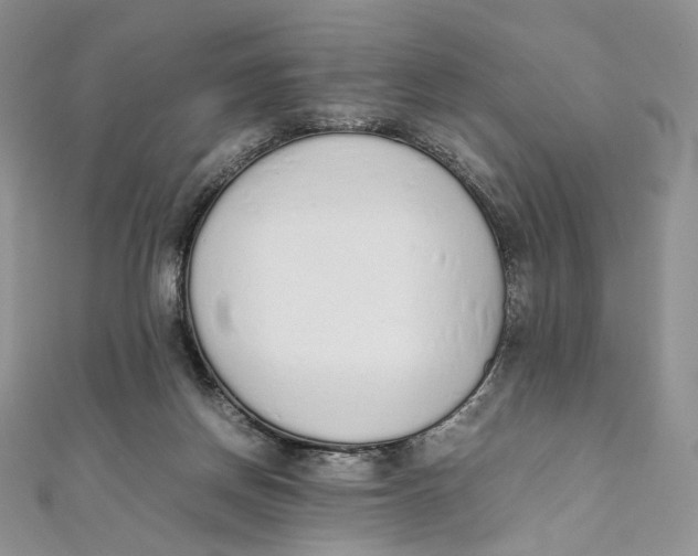 X0000111450166200908031421