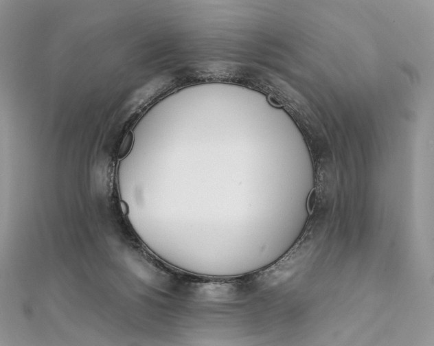 X0000111450168200908031421