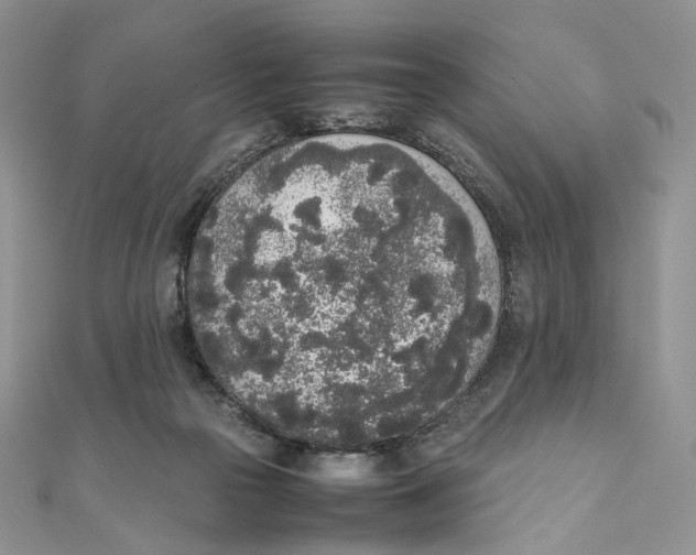 X0000111450169200908031421