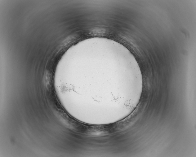 X0000111450171200908031421