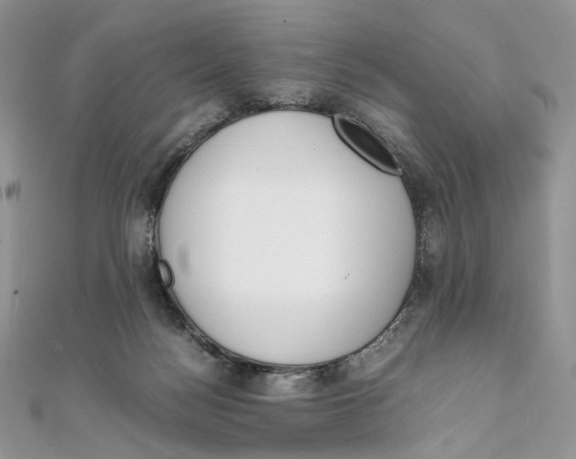 X0000111450172200908031421