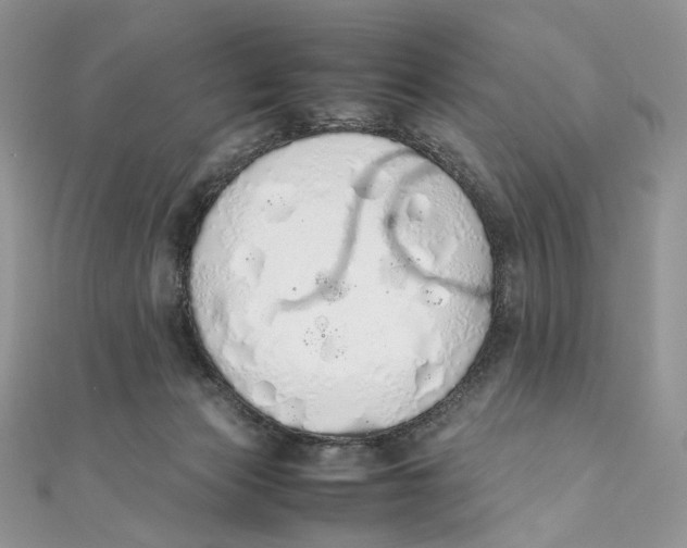 X0000111450173200908031421