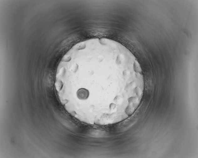 X0000111450175200908031421