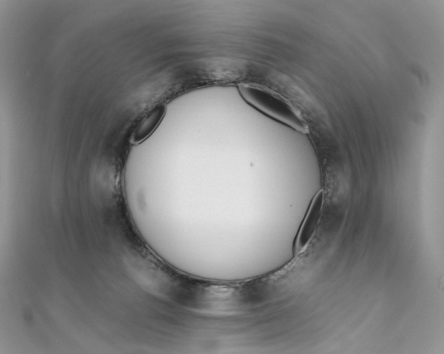 X0000111450176200908031421