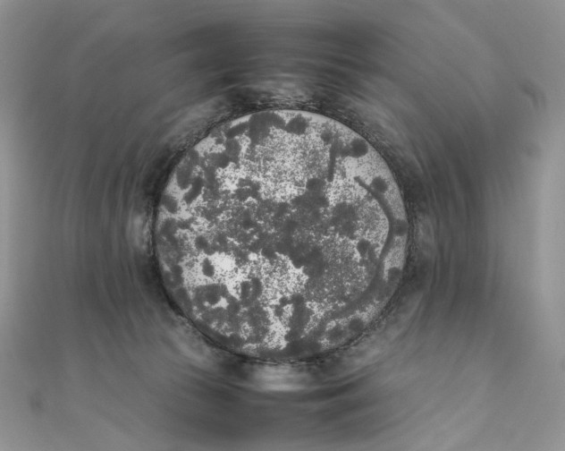 X0000111450177200908031421