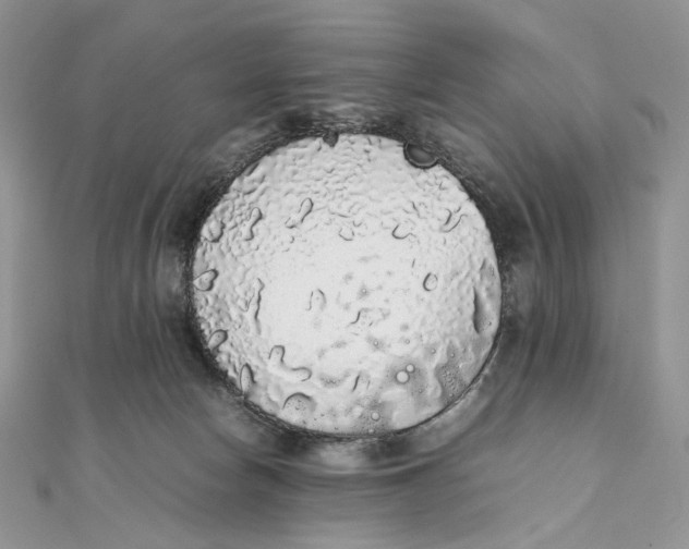 X0000111450178200908031421