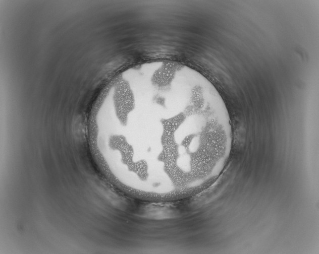 X0000111450179200908031421