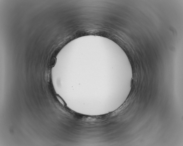 X0000111450180200908031421