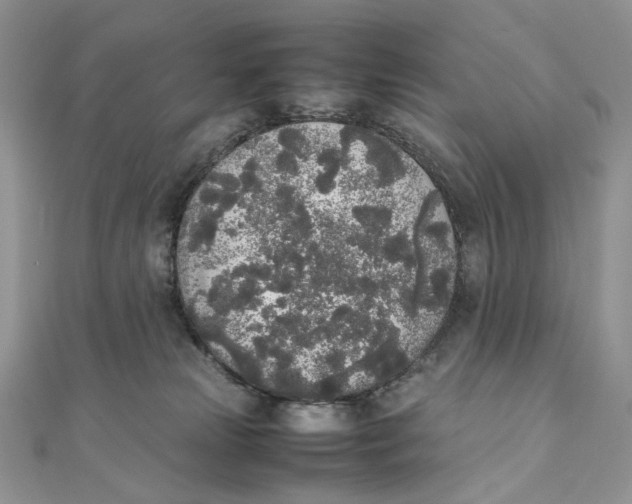 X0000111450181200908031421