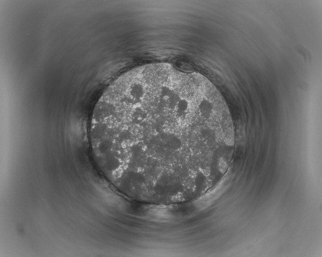 X0000111450182200908031421