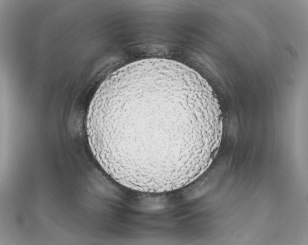 X0000111450185200908031421