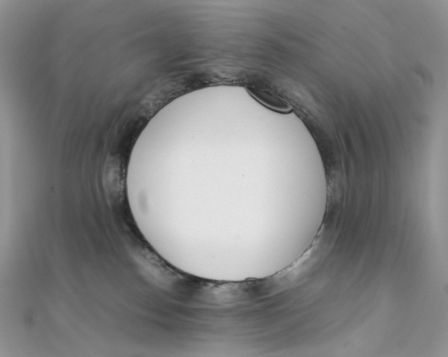 X0000111450186200908031421