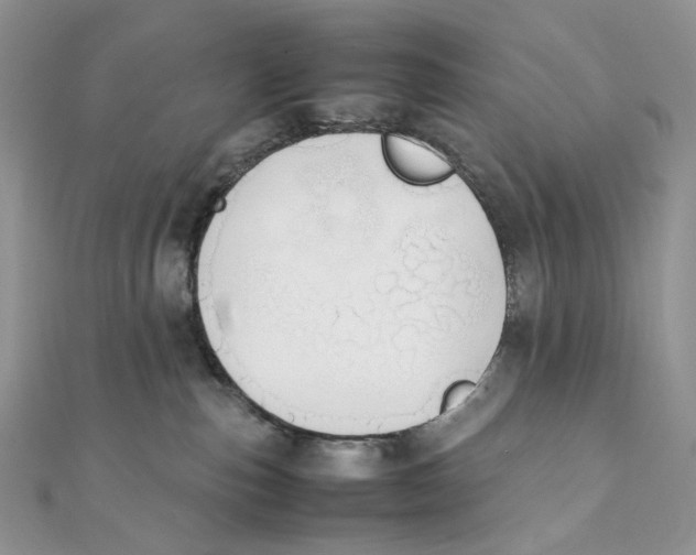 X0000111450187200908031421