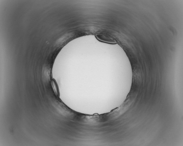 X0000111450188200908031421