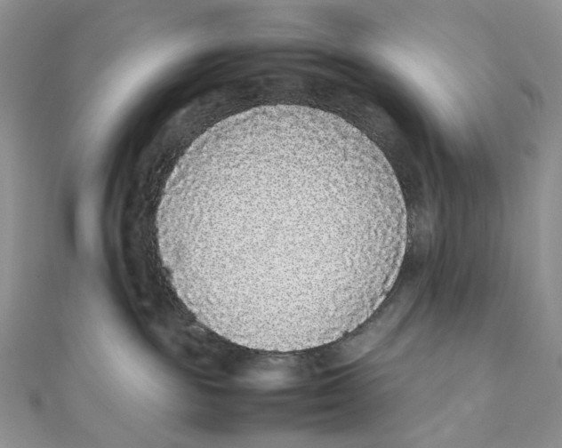 X0000111450189200908031421