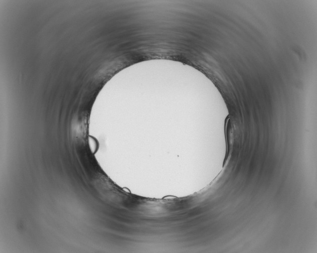 X0000111450190200908031421